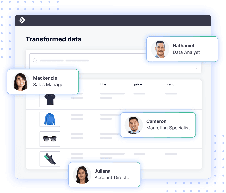 Transformed product data view with product images and four team members (Sales Manager, Data Analyst, Marketing Specialist, Account Director).
