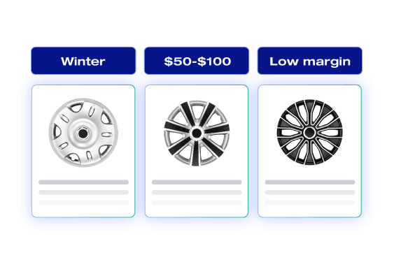 Segmenting auto parts into product sets for Winter, price range $50-$100, and Low margin categories.